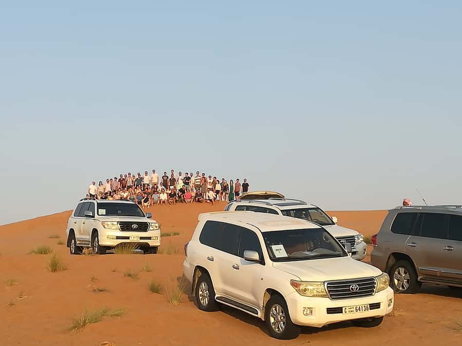Ras Al Khaimah: Half-Day Desert Safari with Dinner - The 4WD ride across the dunes