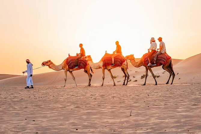 Red Desert Safari With Camel Ride & Sand Skiing - Why the red dunes make this safari worthwhile