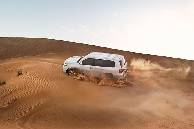 Red Dune Desert Safari with BBQ Dinner, Sand Boarding Dance Shows - Why the red dunes make this safari worth considering