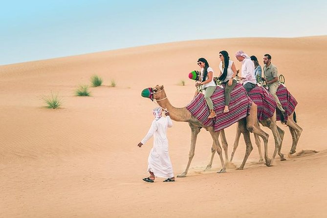 Red Dune Safari with Quad Bike Sand Boarding and Camel Ride - The camel ride gives you a brief taste of tradition