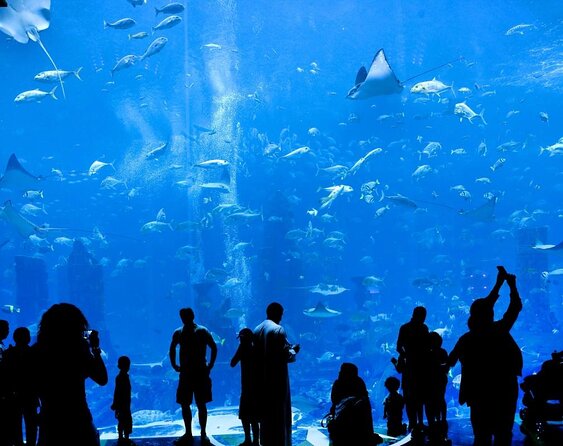 Skip the Line: Lost Chambers Entry at Atlantis The Palm Ticket - Lost Chambers highlights at a glance