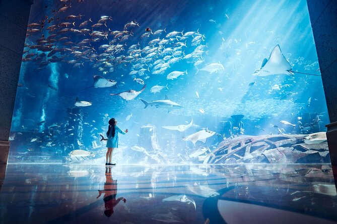 Skip the Line: Lost Chambers Entry at Atlantis The Palm Ticket - What the Lost Chambers experience is really like