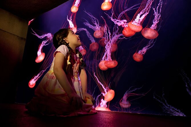Skip the Line: Lost Chambers Entry at Atlantis The Palm Ticket - The Ambassador Lagoon is the main attraction