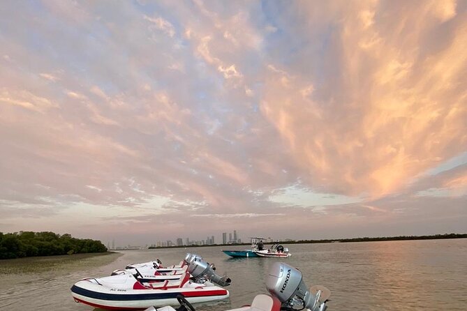 Small-Group Self-Drive Speedboat Tour in Yas Island Mangroves - Peninsula Gold Beach: bring your swimsuit
