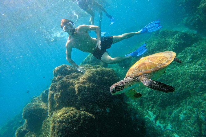 Snorkeling with turtles in Fujairah with BBQ lunch - What a four-hour Fujairah outing feels like