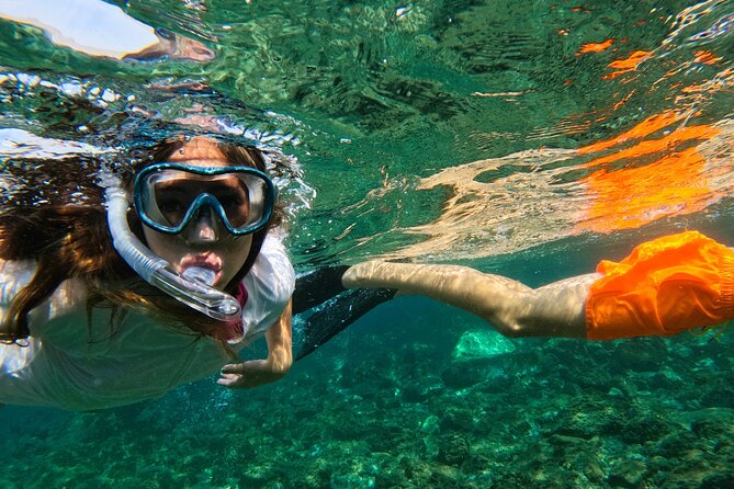 Snorkeling with turtles in Fujairah with BBQ lunch - A BBQ lunch at Reef Oasis