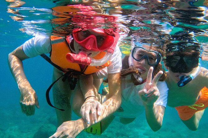 Snorkeling with turtles in Fujairah with BBQ lunch - How much value do you get for $95?