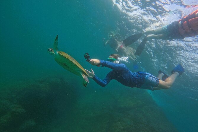 Snorkeling with turtles in Fujairah with BBQ lunch - Who will enjoy this snorkel trip most?