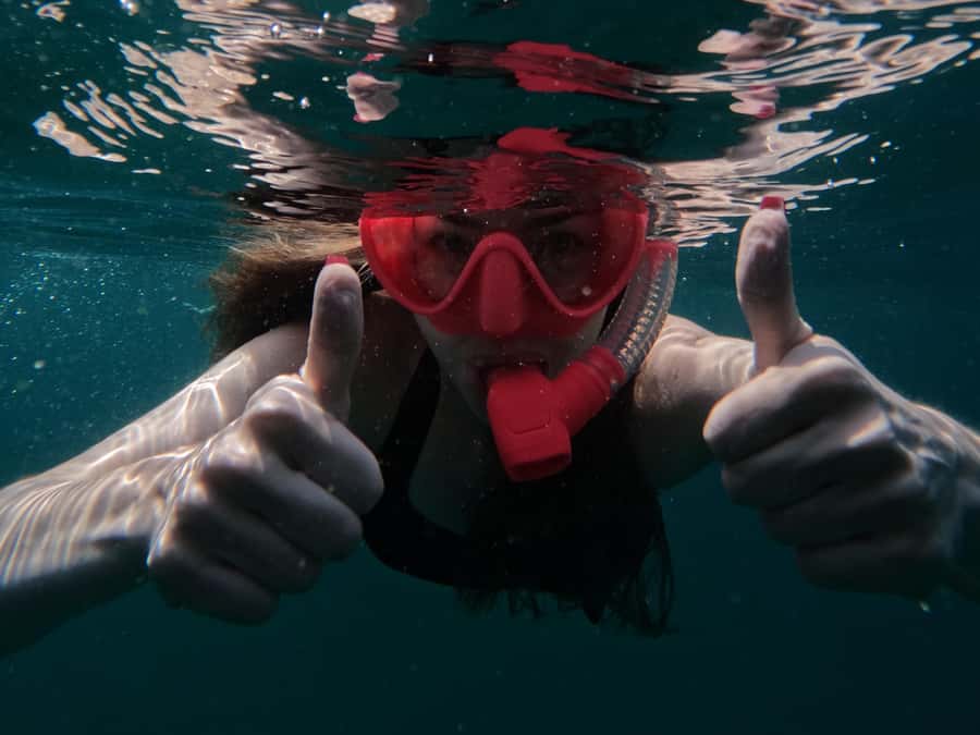 Snorkeling with turtles in Fujairah with BBQ lunch - Simple ways to prepare