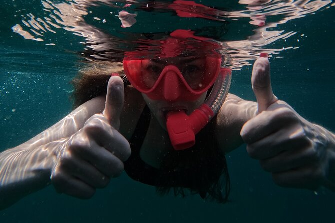 Snorkeling with turtles in Fujairah with Transfer & BBQ lunch - Guides who help beginners feel at ease