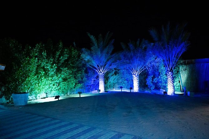 Standard Desert Safari, camel ride, BBQ Dinner, Belly Dance Show, Pick & Drop - Sunset photos and the short camel ride