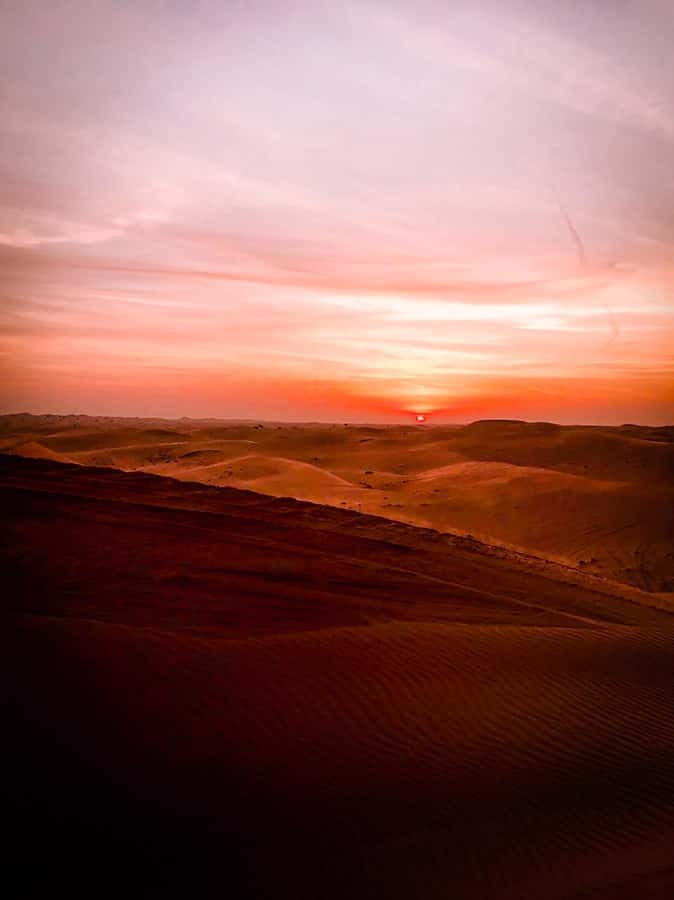 Sunrise Desert Safari - Abu Dhabi - Key points to know before booking