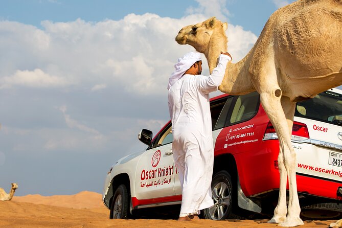 Sunset Camel Trekking with Falcon Show & VIP BBQ Dinner - Key points to know before you book