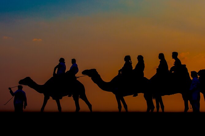 Sunset Camel Trekking with Falcon Show & VIP BBQ Dinner - The 45-minute camel ride