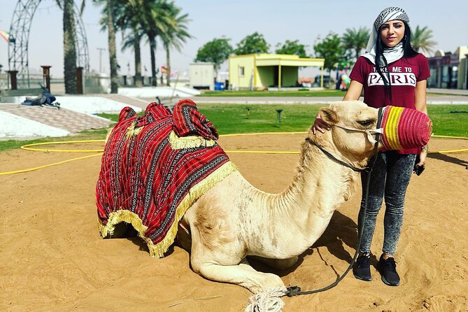 Sunset Desert safari with Camel Ride Sand Board & BBQ Dinner - Four Live Shows and Arabic Music