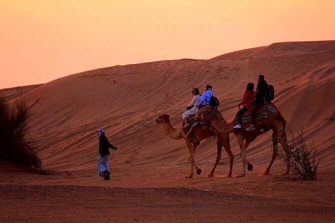 Sunset Evening Safari,Camel ride,live shows and BBQ Dinner with No Hidden Charge - Lahbab’s red dunes and the main 4x4 ride
