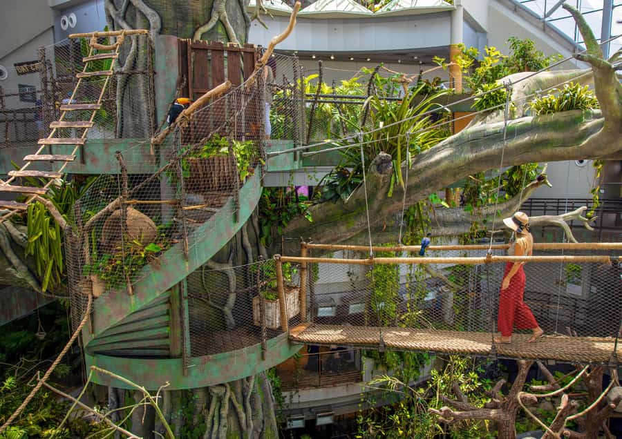 The Green Planet - Dubai's Unique Indoor Rainforest - The Bat Cave, reptiles, and smaller creatures