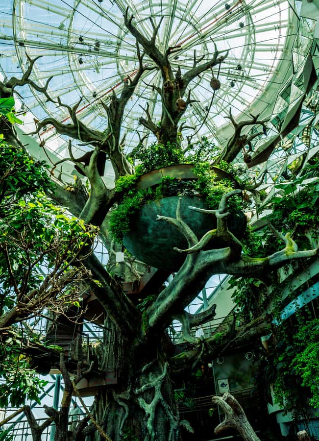 The Green Planet - Dubai's Unique Indoor Rainforest - Is $42 good value?