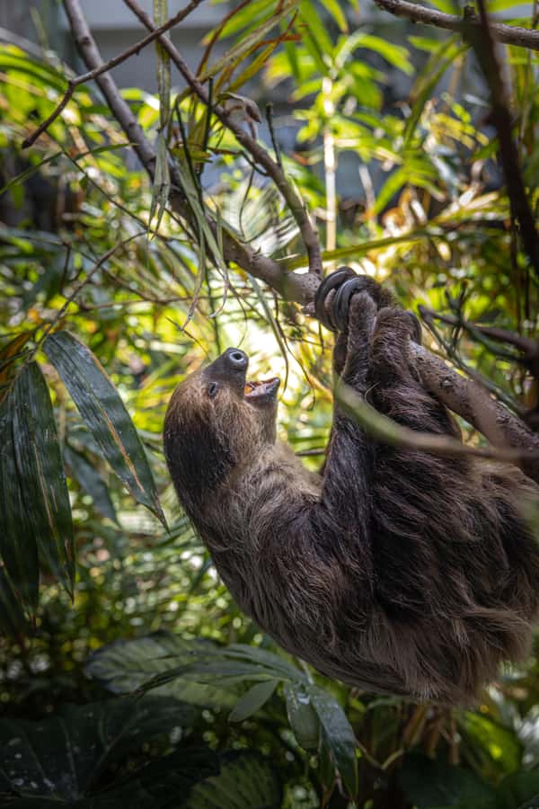 The Green Planet - Dubai's Unique Indoor Rainforest - Practical timing and planning advice