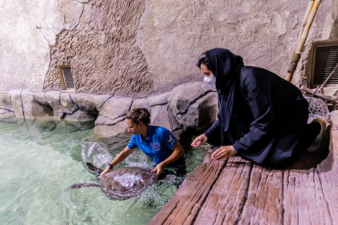 The National Aquarium Abu Dhabi Admission Tickets - Choosing the Beyond the Glass bridge walk