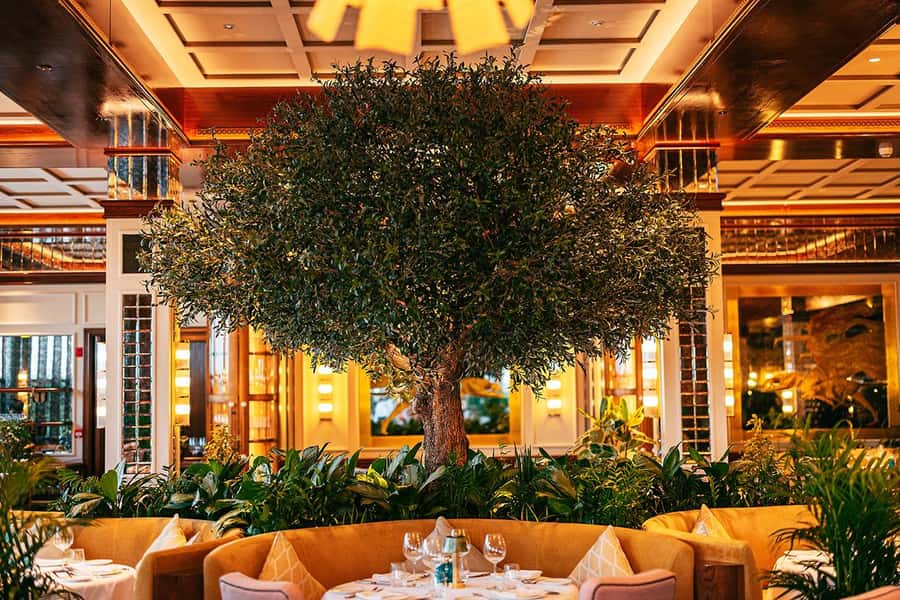 The View Fast Track with an Italian Lunch at Signor Sassi - Two Dubai highlights in one well-planned afternoon