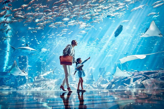 Tickets to Atlantis Lost Chambers Aquarium - The optional monorail trip