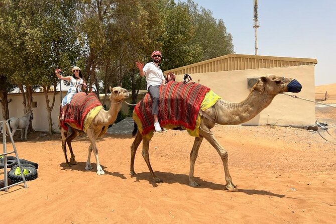 Vip Desert Safari Dubai with Camel Riding BBQ Dinner & Live Shows - Dinner, BBQ, and the evening stage program