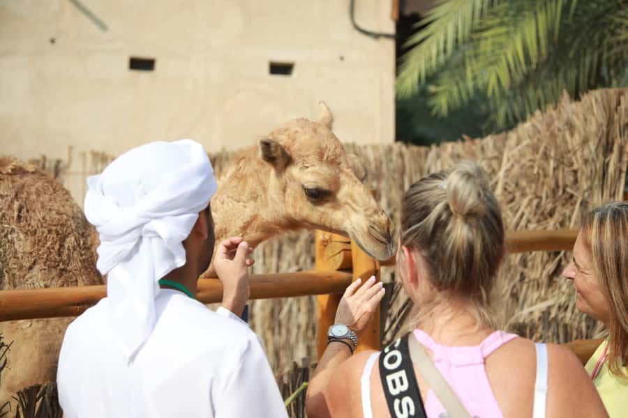 Walking Tour in Old Dubai.with Local Friend - How the guiding style shapes the experience